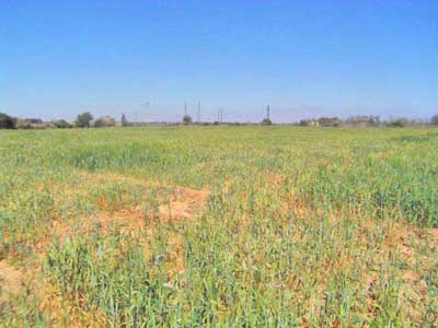 https://www.immotaroudant.com/bien/vente-terrain-a-taroudant-t14049/