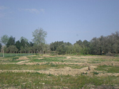https://www.immotaroudant.com/bien/terrain-a-vendre-a-taroudant-maroc-t14186/