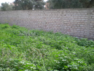 https://www.immotaroudant.com/bien/terrain-a-vendre-a-taroudant-maroc-m14177/