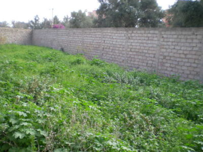 https://www.immotaroudant.com/bien/terrain-a-vendre-a-taroudant-maroc-t14179/