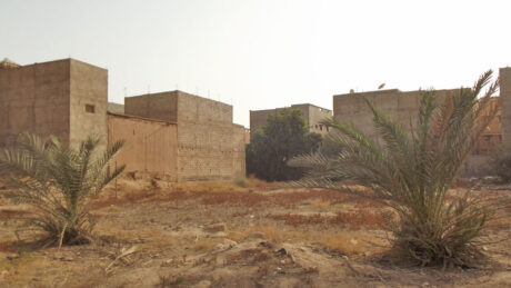 https://www.immotaroudant.com/bien/terrain-titre-a-vendre-t12380/