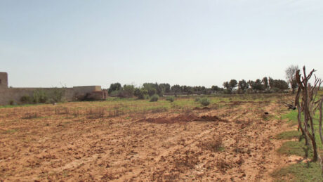 https://www.immotaroudant.com/bien/terrain-titre-a-vendre-t12416/