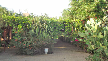 https://www.immotaroudant.com/bien/vente-ferme-ataroudant-f12411/