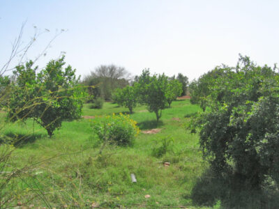 https://www.immotaroudant.com/bien/vente-ferme-a-taroudant-f12419/