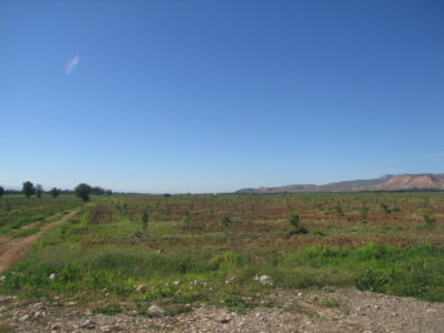 https://www.immotaroudant.com/bien/vente-ferme-ataroudant-f12473/