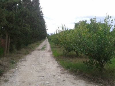 https://www.immotaroudant.com/bien/vente-ferme-a-taroudant-f12477/