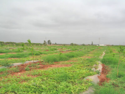 https://www.immotaroudant.com/bien/ferme-taroudant-a-vendre-f12479/