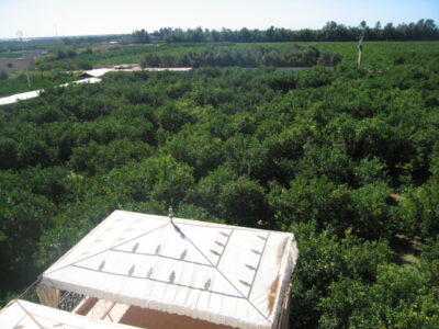 https://www.immotaroudant.com/bien/vente-ferme-titre-a-taroudant-f12554/