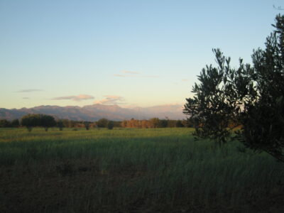 https://www.immotaroudant.com/bien/vente-ferme-a-taroudant-f12563/