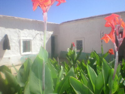 https://www.immotaroudant.com/bien/ferme-taroudant-f13128/