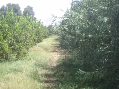 https://www.immotaroudant.com/bien/vente-ferme-a-taroudant-f13625/