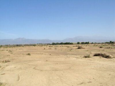 https://www.immotaroudant.com/bien/terrain-titre-a-vendre-t12415/