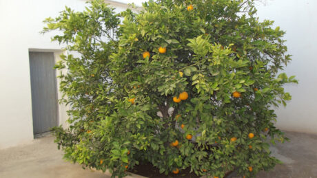 https://www.immotaroudant.com/bien/vente-maison-a-taroudant-m12508/