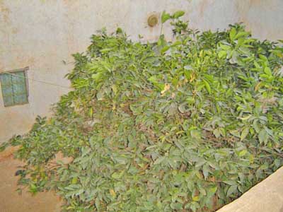 https://www.immotaroudant.com/bien/vente-maison-taroudant-m12120/