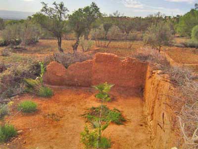 https://www.immotaroudant.com/bien/vente-maison-taroudant-m12229/