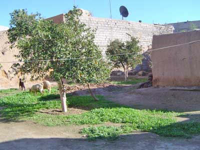 https://www.immotaroudant.com/bien/vente-maison-taroudant-m12230/