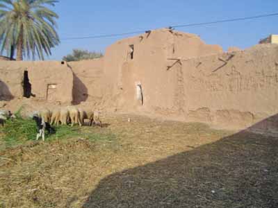 https://www.immotaroudant.com/bien/vente-maison-a-taroudant-m12279/