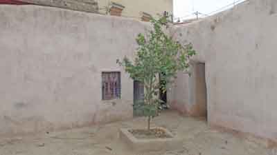 https://www.immotaroudant.com/bien/vente-maison-taroudant-m13950/