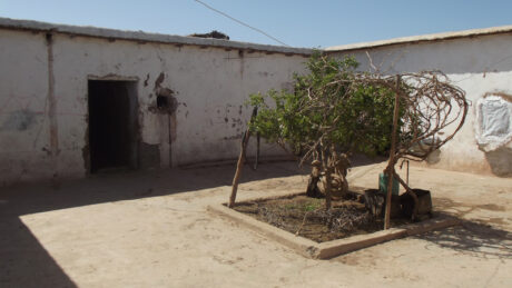https://www.immotaroudant.com/bien/vente-maison-taroudant-m13983/
