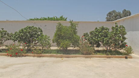 https://www.immotaroudant.com/bien/vente-maison-a-taroudant-maroc-m13988/