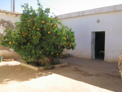 https://www.immotaroudant.com/bien/vente-maison-a-taroudant-m12546/