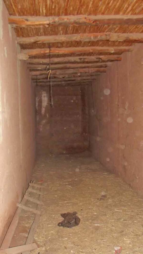 maison à rénover Taroudant — photo 4