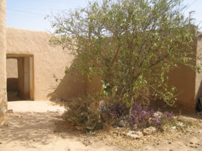 https://www.immotaroudant.com/bien/maison-taroudant-a-vendre-m12398/