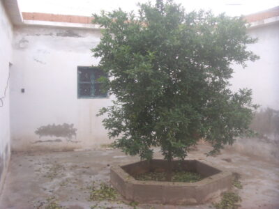 https://www.immotaroudant.com/bien/maison-a-taroudant-m13646/
