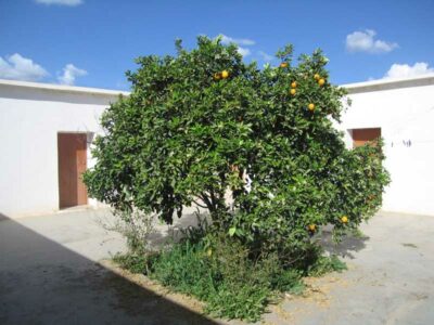 https://www.immotaroudant.com/bien/maison-a-vendre-a-taroudant-maroc-m13733/