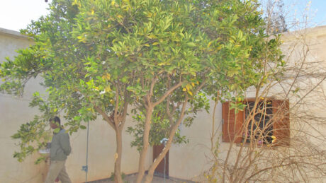 https://www.immotaroudant.com/bien/vente-maison-a-taroudant-m12386/