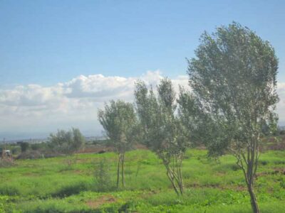 https://www.immotaroudant.com/bien/vente-maison-a-taroudant-m12454/