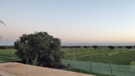 https://www.immotaroudant.com/bien/vente-maison-a-taroudant-m12466/