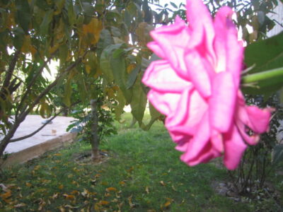 https://www.immotaroudant.com/bien/vente-maison-a-taroudant-m12492/