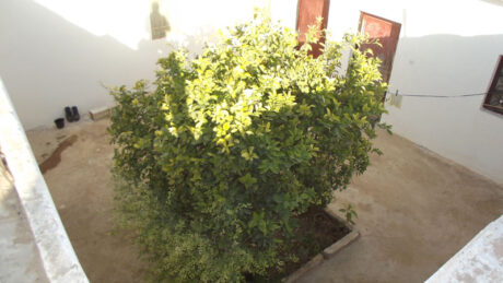 https://www.immotaroudant.com/bien/vente-maison-a-taroudant-m12523/