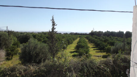 https://www.immotaroudant.com/bien/vente-maison-a-taroudant-m12536/