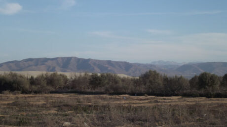 https://www.immotaroudant.com/bien/vente-terrain-taroudant-t12542/