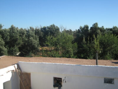 https://www.immotaroudant.com/bien/vente-maison-a-taroudant-m12562/