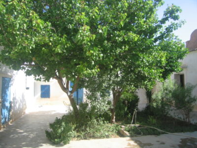 https://www.immotaroudant.com/bien/vente-maison-a-taroudan-m12585/
