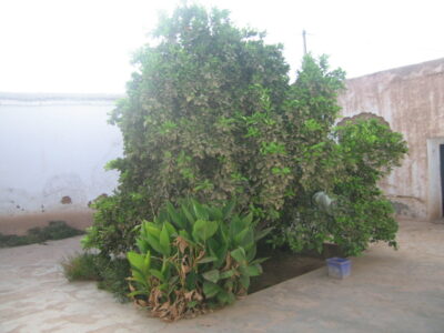 https://www.immotaroudant.com/bien/vente-maison-a-taroudant-m12592/
