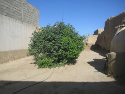 https://www.immotaroudant.com/bien/vente-maison-a-taroudant-m12472/