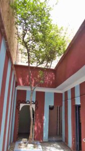 https://www.immotaroudant.com/bien/vente-maison-a-taroudant-m12879/
