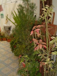 https://www.immotaroudant.com/bien/riad-taroudant-r13006/