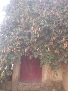https://www.immotaroudant.com/bien/maison-a-taroudant-m13249/