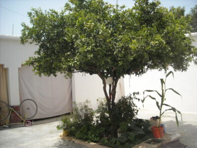 https://www.immotaroudant.com/bien/maison-a-taroudant-m13444/