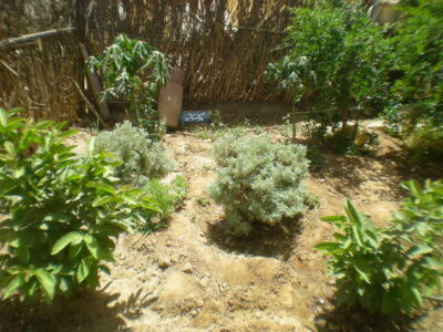 https://www.immotaroudant.com/bien/maison-taroudant-m13495/
