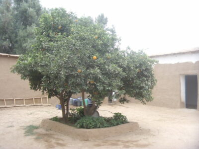 https://www.immotaroudant.com/bien/maison-taroudant-m13498/