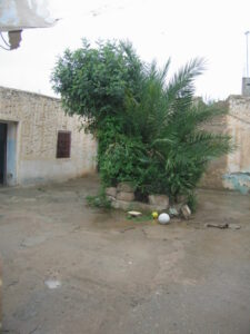 https://www.immotaroudant.com/bien/maison-a-vendre-taroudant-m13791/