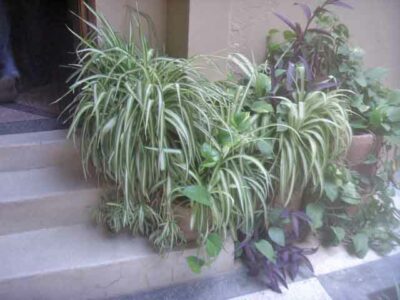 https://www.immotaroudant.com/bien/vente-maison-taroudant-m13902/