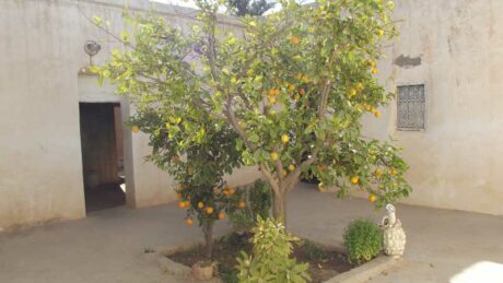 https://www.immotaroudant.com/bien/maison-en-vente-a-taroudant-m13955/