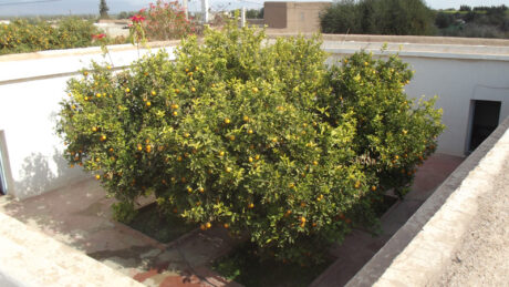 https://www.immotaroudant.com/bien/maison-a-vendre-a-taroudant-m13965/